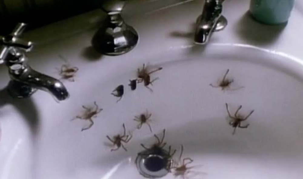 arachnophobia (1990)